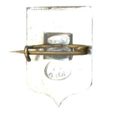 Значок Владимир (вид 2)