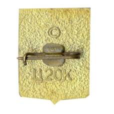 Значок Симферополь (вид 2)