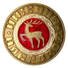 Значок Нижний Новгород