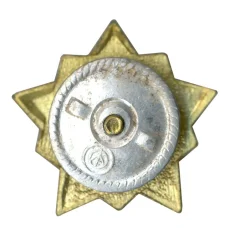 Значок Воин-спортсмен — II ступень (реверс)