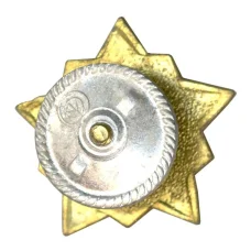 Значок Воин-спортсмен — II ступень (вид 2)