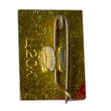 Значок Симферополь (вид 2)