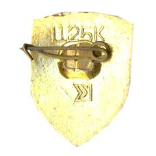 Значок Киев (вид 2)