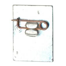 Значок Волгоград (вид 2)