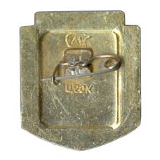 Значок Астрахань — Лебединое озеро (вид 2)