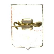 Значок Александров (вид 2)