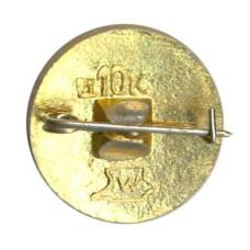 Значок Ростов (вид 2)