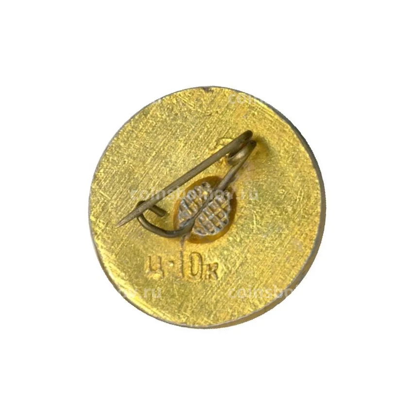 Значок Воин Киевской Руси (вид 2)