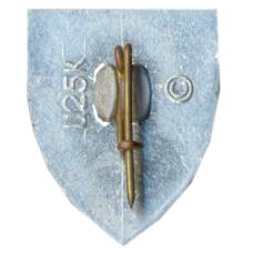 Значок Симферополь (вид 2)