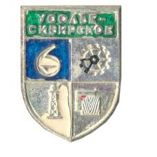 Значок Усолье Сибирское