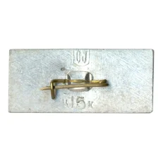 Значок Челябинск — Дворец спорта (вид 2)