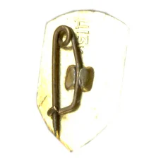 Значок Брест (вид 2)