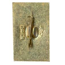 Значок Домбай (вид 2)