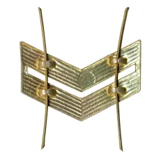 Значок Младший сержант (реверс)