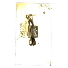 Значок Киев (вид 2)