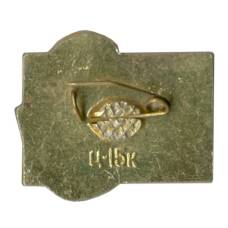 Значок Леся Украинка (реверс)