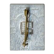 Значок Панас Мирный (реверс)