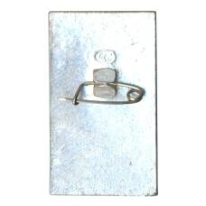 Значок И.С. Тургенев (реверс)