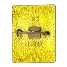 Значок А.С. Грин (реверс)