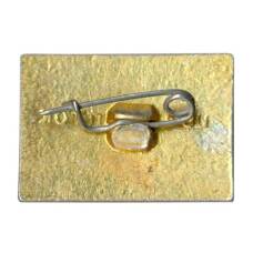 Значок Пятигорск (вид 2)