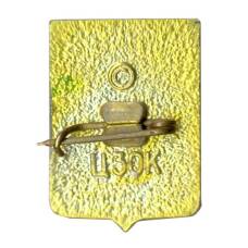 Значок Симферополь (вид 2)