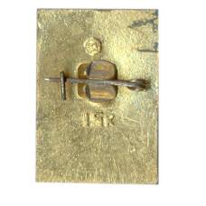 Значок Теберда (вид 2)