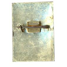 Значок Теберда (вид 2)