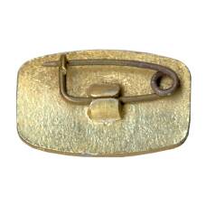 Значок Минск Орденоносный (вид 2)