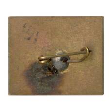 Значок Беркут Карпатский (вид 2)