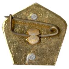 Значок Бухара (вид 2)