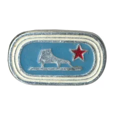 Значок Конькобежный спорт (аверс)