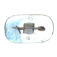 Значок Конькобежный спорт (реверс)