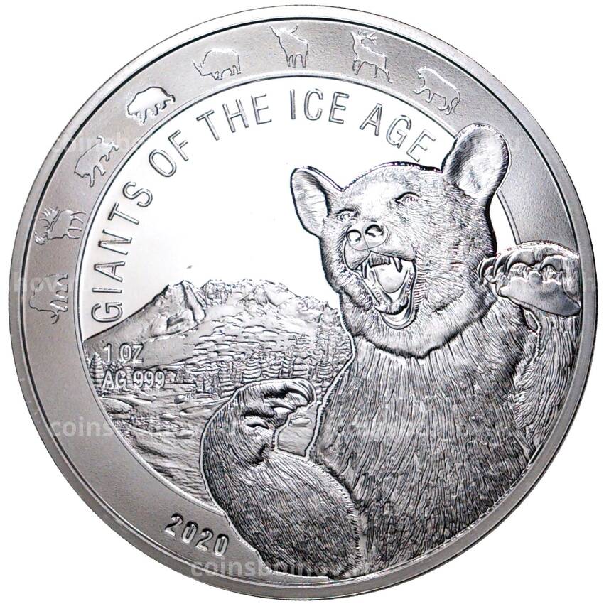 Монета 5 седи 2020 года Гана «Гиганты Ледникового периода — Пещерный медведь»