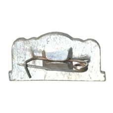 Значок MSM (вид 2)