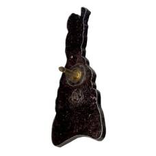 Значок XICS (реверс)