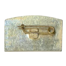 Значок Кропоткин (вид 2)