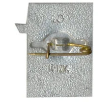 Значок Ижорский таран — Зеленый пояс Славы (вид 2)