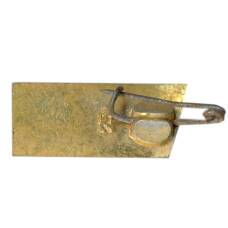 Значок Ульяновск (вид 2)