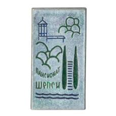 Значок Пансионат Шепси (аверс)