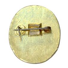 Значок Съезд 1981 (вид 2)