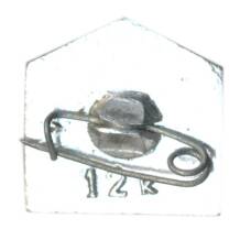 Значок Кишинев (вид 2)