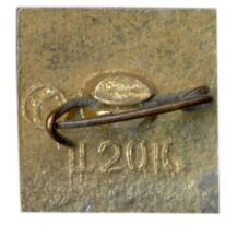 Значок Херсон (вид 2)