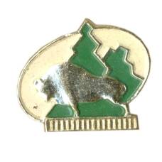 Значок Зубр