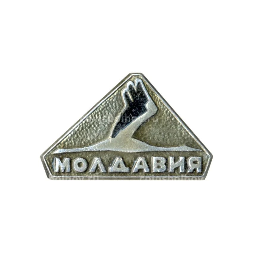 Значок Молдавия