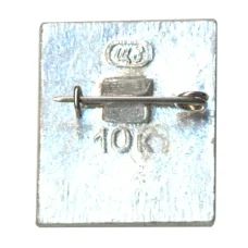 Значок Шушенское (вид 2)