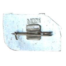 Значок Шушенское (вид 2)