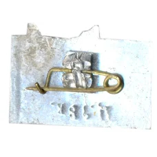 Значок Кавказ (вид 2)