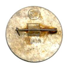 Значок Норильск (вид 2)