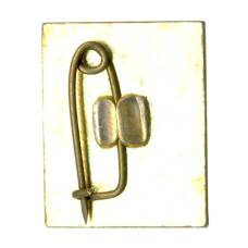 Значок 50 лет Белорусской ССР (вид 2)