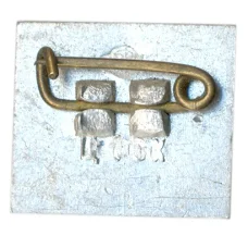 Значок Саласпилс (вид 2)